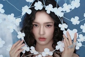 精彩图片集锦：视觉盛宴一览