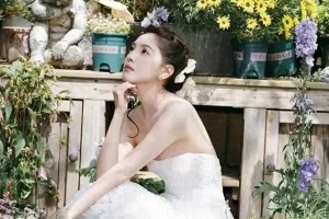 精选图片集锦：视觉盛宴一览