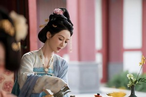 杨紫《国色芳华》商业价值飙升，王源演唱会遇冷