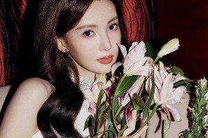 金晨容貌变化引热议：从清纯女神到整容争议