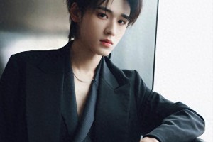 宋亚轩：娱乐圈新星的璀璨绽放与专业态度