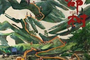 杨紫胡歌新剧《生命树》官宣，正午阳光再推主旋律力作