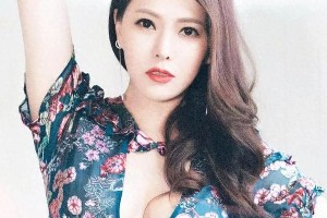 精选图片集锦：视觉盛宴一览