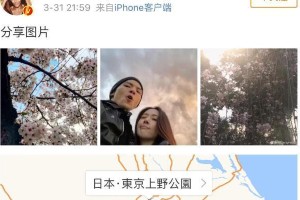 向佐郭碧婷日本樱花行甜蜜合照曝光 直男拍照技术引热议