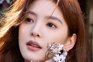 精彩图片集锦：视觉盛宴一览