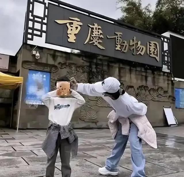 赵丽颖获奖照片