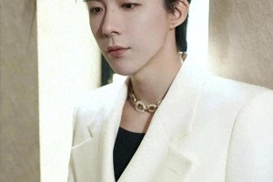 娱乐圈明星闪婚闪离现象：刘宇宁魏哲鸣黄景瑜等案例解析