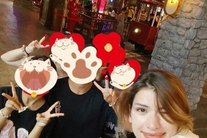 精选图片集锦：视觉盛宴一览